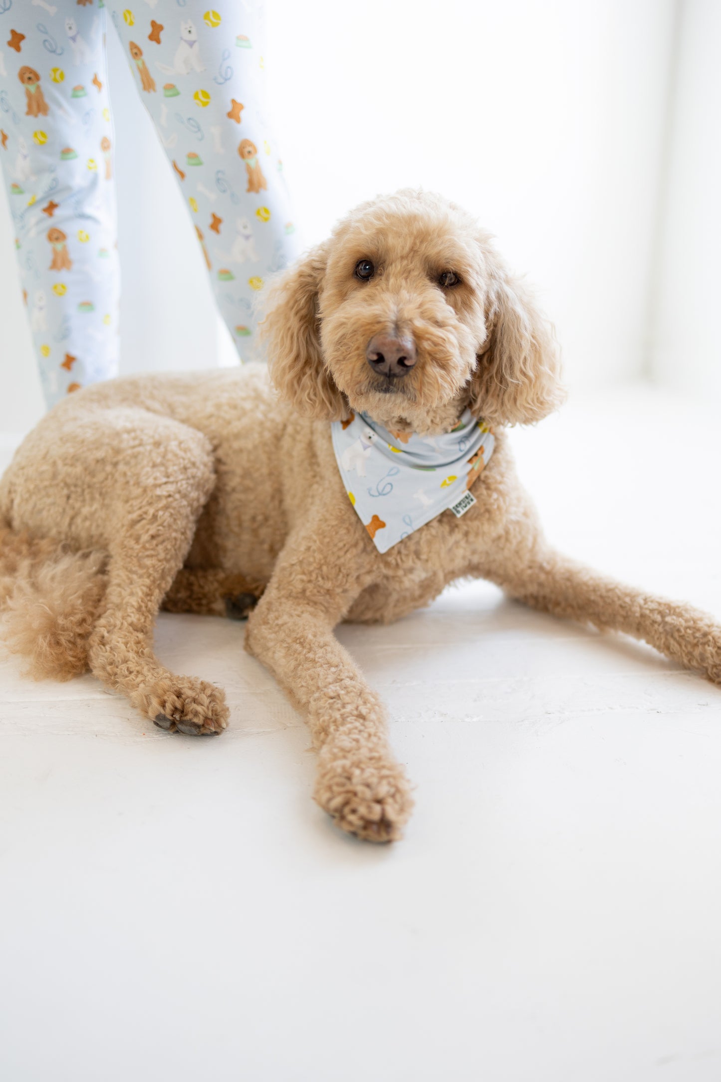 Puppy Dreams Bandana