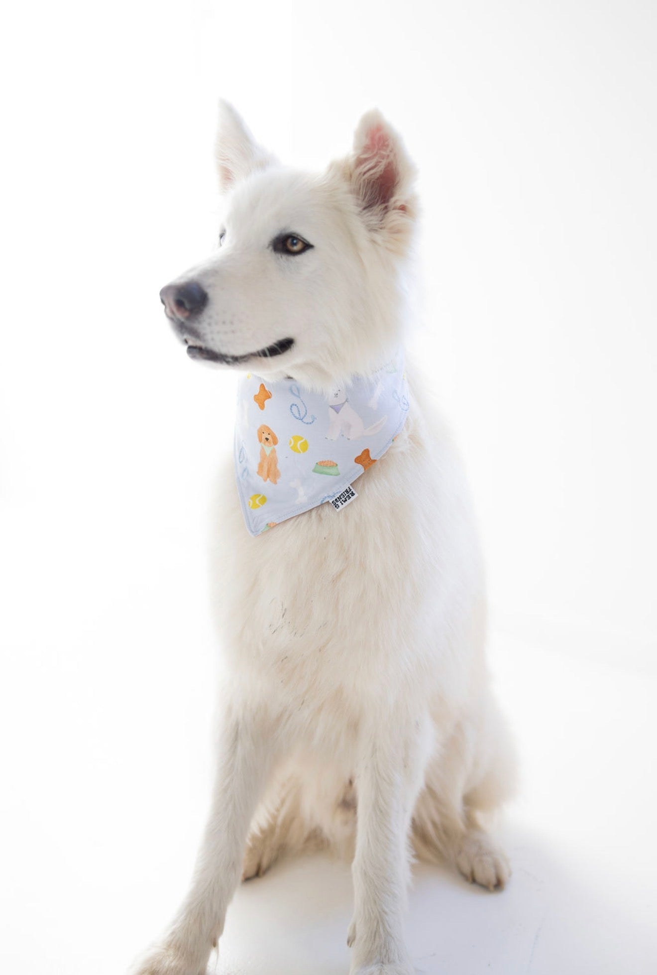 Puppy Dreams Bandana